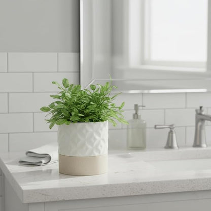 Nihow Self Watering Ceramic Plant Pot, 4.5 Inch, Matte White & Brown Star | Drainage Hole, Water Storage Plus, Indoor & Outdoor, Cylinder Flower Pot, For Herbs/Violets