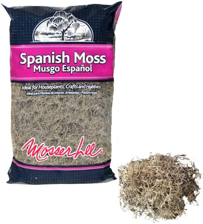 Mosser Lee Spanish Moss – Natural Decorative Moss for Houseplants, Soil Cover, Crafts, Terrariums & Floral Arrangements - 400 Cubic Inches (Approx 9oz)