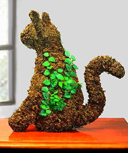 Mosser Lee ML0110 Long Fibered Sphagnum Moss – 432 cu in – High Water Retention, Soil-Free Gardening, Topiary Filler, Hanging Baskets, Crafts & Decoration | Absorbent Substrate, Soil-Free, for Gardening and Crafting, Soil Amendment and Basket Liner