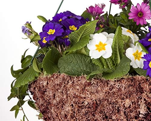 Mosser Lee ML0110 Long Fibered Sphagnum Moss – 432 cu in – High Water Retention, Soil-Free Gardening, Topiary Filler, Hanging Baskets, Crafts & Decoration | Absorbent Substrate, Soil-Free, for Gardening and Crafting, Soil Amendment and Basket Liner