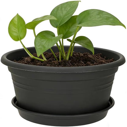 MRPAPA 10 Inch Plastic Pots 6 Pack Outdoor Round Planters with Drainage Hole & Tray Saucer, Lightweight Indoor Flower Decoration Pots for Home,Patio & Garden (Dark Grey)