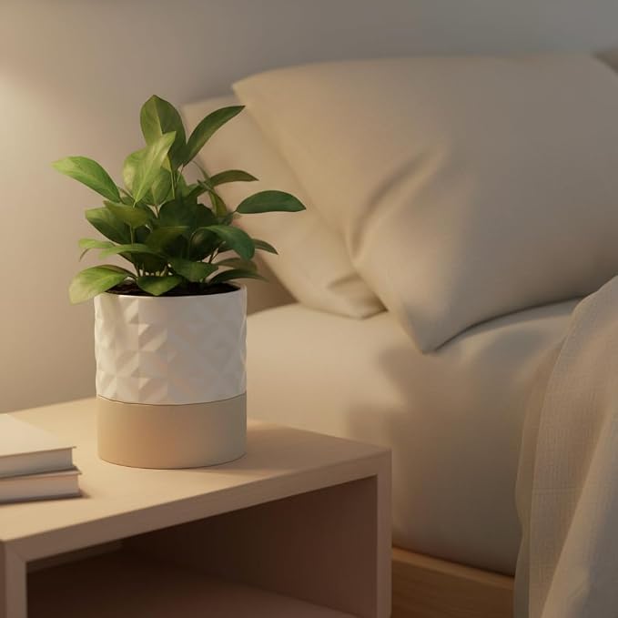 Nihow Ceramic Self Watering Plant Pot for Indoor Plants, 6 Inch,Cream White | Planter with Cotton Wick, Drainage Hole & Water Storage Plus, Cylinder Round Flower Pot, For Succulent/Herbs/Violets