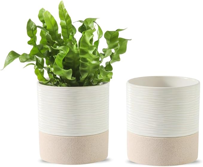 Nihow Ceramic Self Watering Plant Pot for Indoor Plants, 4.5 Inch,Set of 2 | Planter with Cotton Wick,Water Storage Plus, Cylinder Round Flower Pot, Succulent/Herbs/Violets