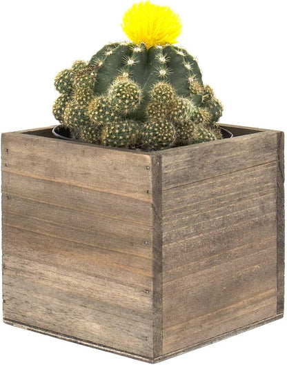 CYS EXCEL Cube Planter Box with Removable Plastic Liner (4"x4"x4")(4 PCS) | Multiple Size Choices Wood Square Planter | Indoor Decorative Window Box