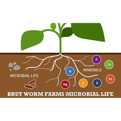 Brut Cow Compost – Nutrient-Rich Composted Cow Manure Organic Soil Amendment – 100% Pure Compost, Additive-Free Fertilizer for Vegetable Gardens, Flowers, Lawns & Indoor Plants – 1 Cubic Ft