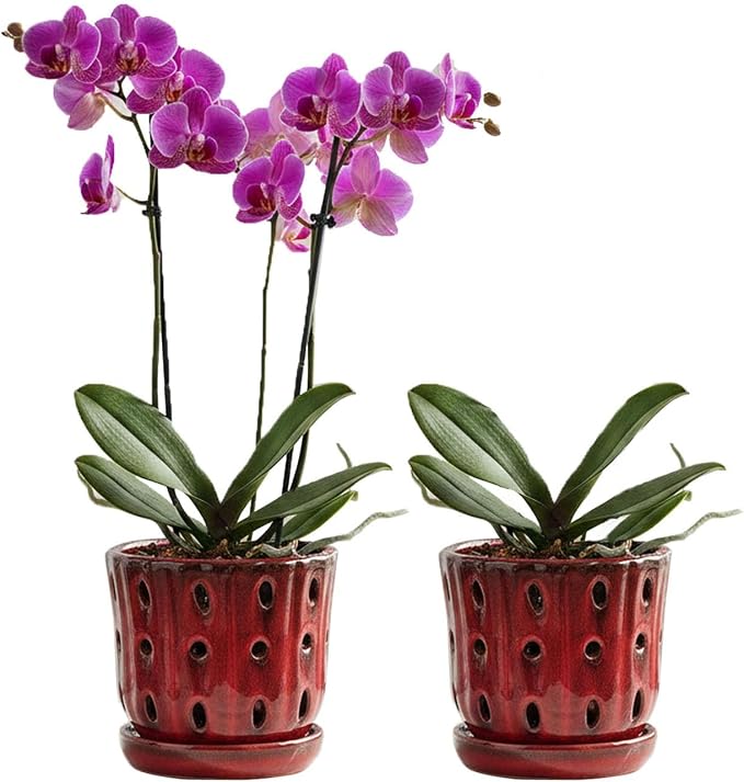 Orchid Pots 4.9Inch Ceramic Orchid Pots with Holes Set of 2 (Red)