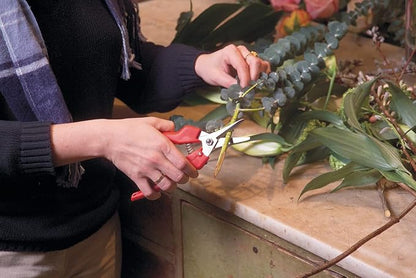 Felco Pruning Shears (F 6) and (F 310) - High Performance Swiss Made One-Hand Garden Pruners