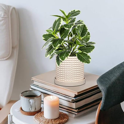 DILATATA Set of 2 Ceramic Planter Pots with Drainage Hole and Saucer, Round Flower Pot Hobnail Modern Planter Pots for Indoor & Outdoor Plants - 4 Inch & 6 Inch, White
