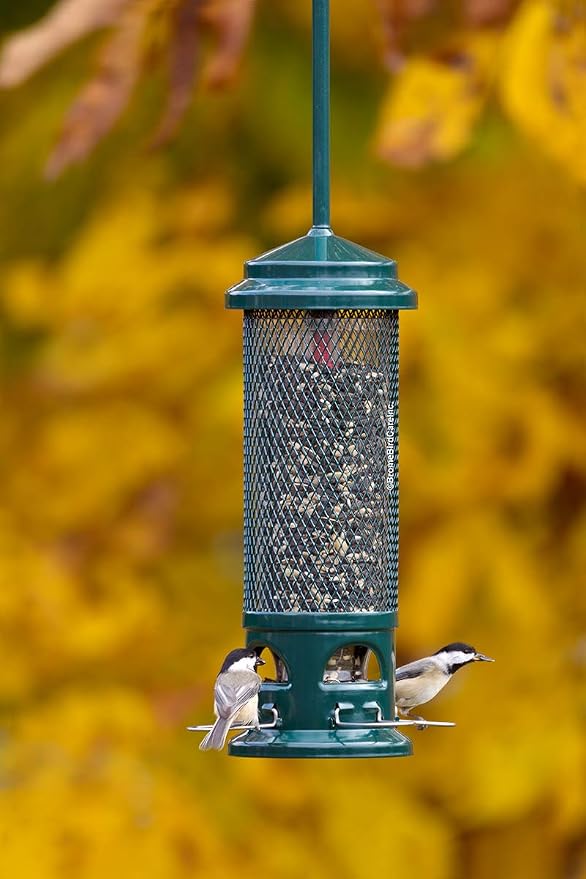 Squirrel Buster Legacy Squirrel-Proof Bird Feeder for Wild Birds – 4 Metal Removable Perches, 2.6 lb Seed Capacity, Chew-Proof Design, Easy to Clean, Green | 2.6 Lb Capacity, 4 Metal Perches and Ports, Weight-Adjustable Squirrel-Proof Shroud, Chew-Proo...