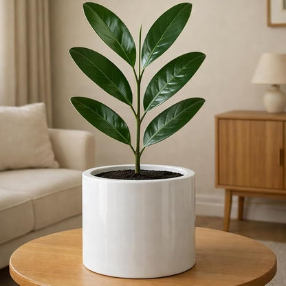 Fox & Fern Large Indoor Planter, Modern Large Plant Pot for Indoor or Outdoor, UV and Frost Resistant - 8 Inch, Glossy White Flower Pot with Drainage Plug, Lightweight