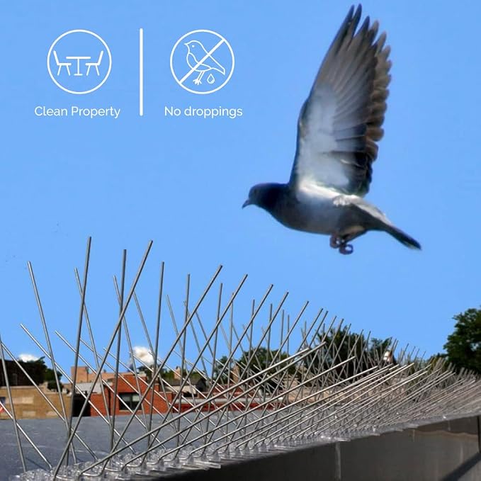 Bird-X Stainless Steel Bird Spikes, 6-inch Regular Wide Spikes, Bird Spikes for Pigeons and Other Small Birds, Easy to Install, Contains 2 ft. Strips, Covers 50 Linear Feet Area