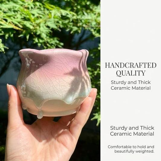 6 Pack Ceramic Succulent Planters, 3.54" W × 3.35" H Gradient Crackle Glaze Flower Pots for Succulents, Cacti, Small Plants, Creative Gardening Decorative Planter Containers