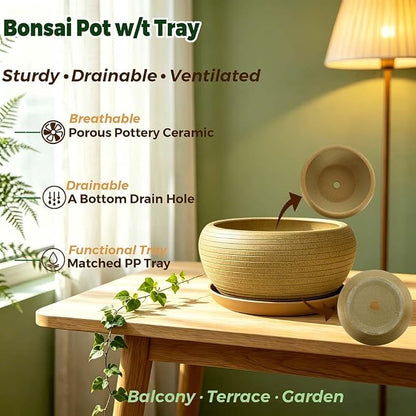 MUZHI 9.5” Round Large Ceramic Bonsai Bowl Planter，Clay Succulent Plant Pot Container with Saucer (9.5”)