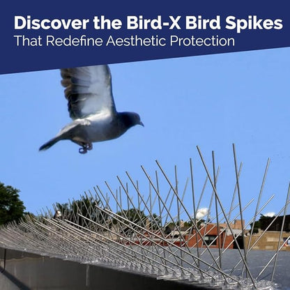 Bird-X Stainless Steel Spikes Stop Bird Roosting Pigeons 6 Inch Wide 10 Ft | Stops Bird Landing, Durable Stainless Steel, Ledges, Sings, Pipes Beams, For Pigeons, Seagulls, Sparrows & more 10 Feet