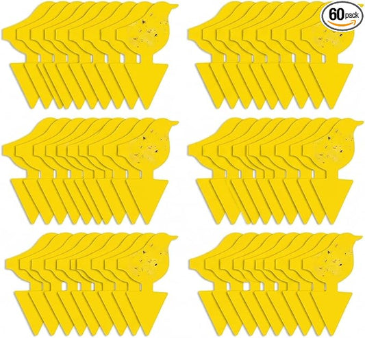 Kate's Home & Garden 60 Count Fruit Fly Traps for Indoors and House. Yellow Sticky Trap for Gnats, Mosquitos, Plants, Ants