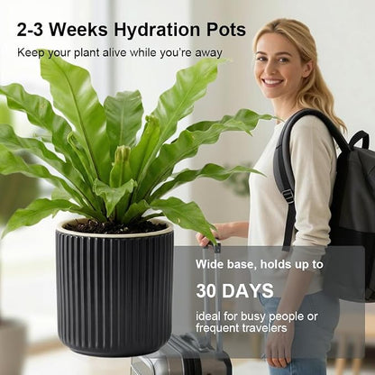 Set of 2 self Watering Ceramic pots for Indoor Plants with 5 inch Clear Inner Pot (Black, 5 inch)