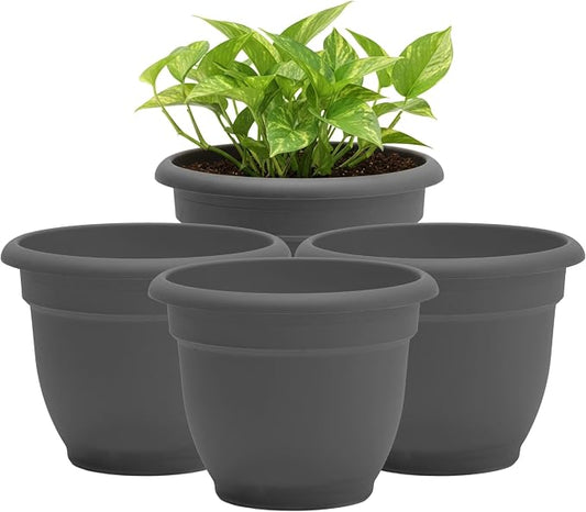 Bloem Ariana 8" Plastic Self-Watering Planter, Charcoal, 4-Pack | Self-watering disk at the bottom of each pot that acts as a water wick and reservoir for optimal plant health