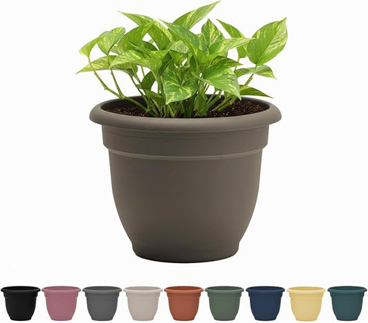 Bloem Ariana 10" Plastic Self-Watering Planter, Peppercorn | Self-watering disk at the bottom of the pot that acts as a water wick and reservoir for optimal plant health.