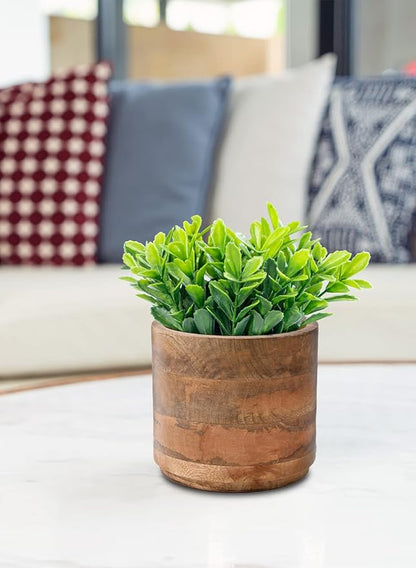 Serene Spaces Living Medium Mango Wood Cachepot – Natural Wooden Pot for Faux Flowers & Indoor Plants – Decorative Plant Holder for Home, Office, and Restaurant Decor – 6.5" Diameter & 6" Tall