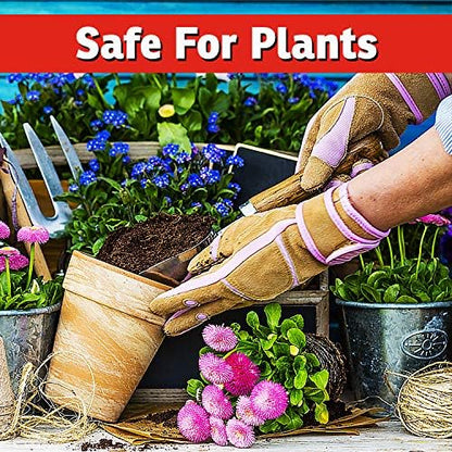 I Must Garden Deer Repellent: Spice Scent Deer Spray for Gardens & Plants – Natural Ingredients – 1 Gallon Ready to Use Refill