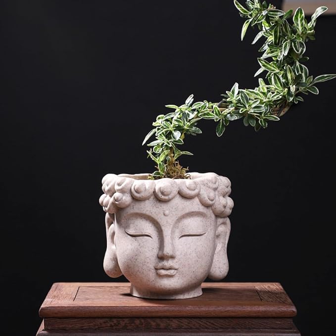 Buddha Head Planter, Unique Face Plant Pot with Drainage Hole, Small Resin Flower Succulents Pot for Indoor Outdoor Plants, Home Garden Decor (01#)