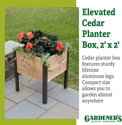 Gardener's Supply Company Raised Garden Bed Elevated Cedar Planter Box | 2' x 2' Heavy Duty Standing Garden Planters for Outdoor Plant Vegetables & Flower Gardening Perfect for Patio, Lawn & Backyard