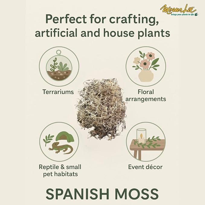 Mosser Lee Spanish Moss – Natural Decorative Moss for Houseplants, Soil Cover, Crafts, Terrariums & Floral Arrangements - 400 Cubic Inches (Approx 9oz)
