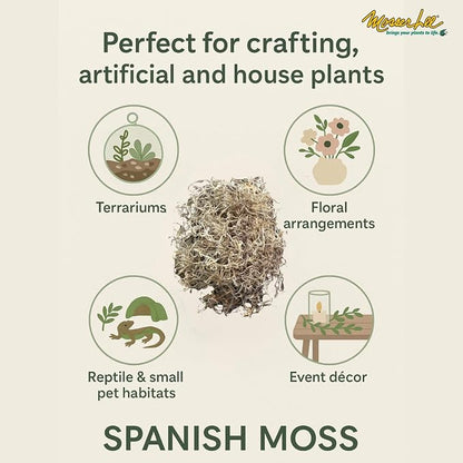 Mosser Lee Spanish Moss – Natural Decorative Moss for Houseplants, Soil Cover, Crafts, Terrariums & Floral Arrangements - 400 Cubic Inches (Approx 9oz)