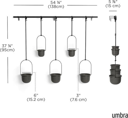 Umbra Triflora Hanging Planter for Window, Indoor Herb Garden, Set of 5, Black