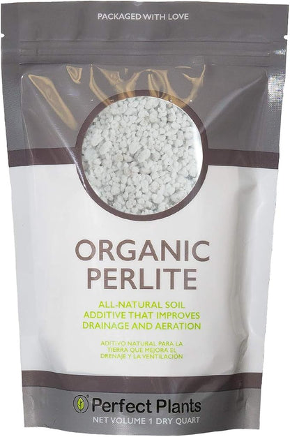 Organic Perlite by Perfect Plants — 1qt. Natural Soil Additive for Indoor & Outdoor Container Plants — Enhanced Drainage for Optimal Growth