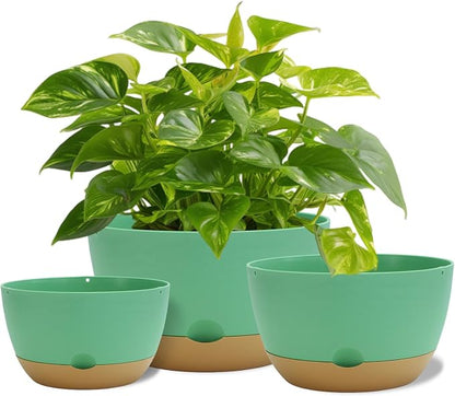 Koalaime 8/10/12 Inch Pots for Indoor Plants, Large Self Watering Planters with Drainage and Saucers, Plastic Outdoor Flower Pot, Set of 3, Green