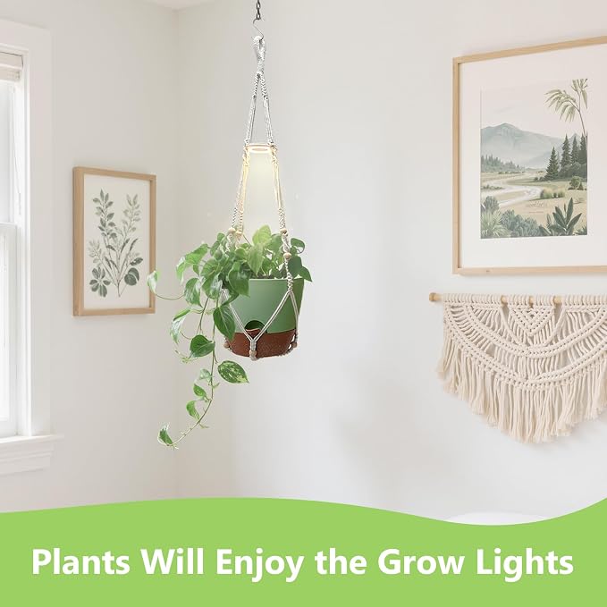 2 Pack Self Watering Hanging Planters with Grow Light for Indoor Plants | 10 Brightness, 3 Light Modes, 3/9/12H Timer, Built-In Reservoir, Drainage Holes, 10 in Pots