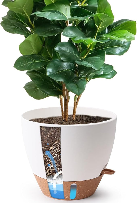 T4U 12 Inch Self Watering Pot - Water Level Indicator & Deep Reservoir, Mess-Free Planter for Busy People, Beginners & Gardeners, Fits Rubber Tree/Fiddle Leaf Fig Plants, Indoor Outdoor Use (White)