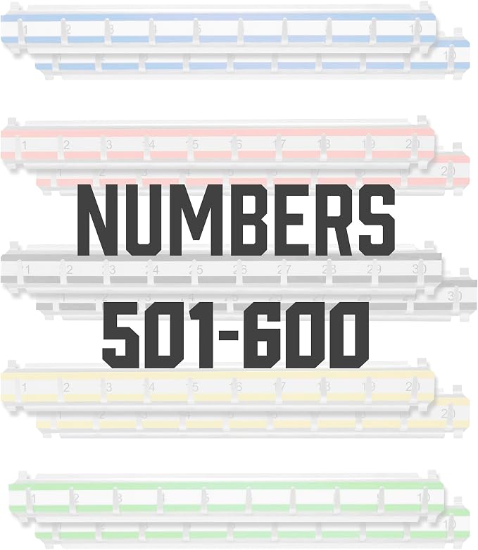 Barska Labeled Key Shelves with 501-600 Numbered Hooks for Key Cabinets