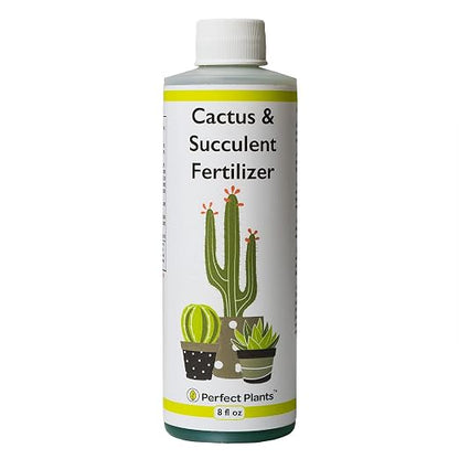 Perfect Plants Liquid Cactus & Succulent Fertilizer 8oz. | Food for Live Succulents, Cacti, Aloe & More | Indoor and Outdoor Use with Every Watering