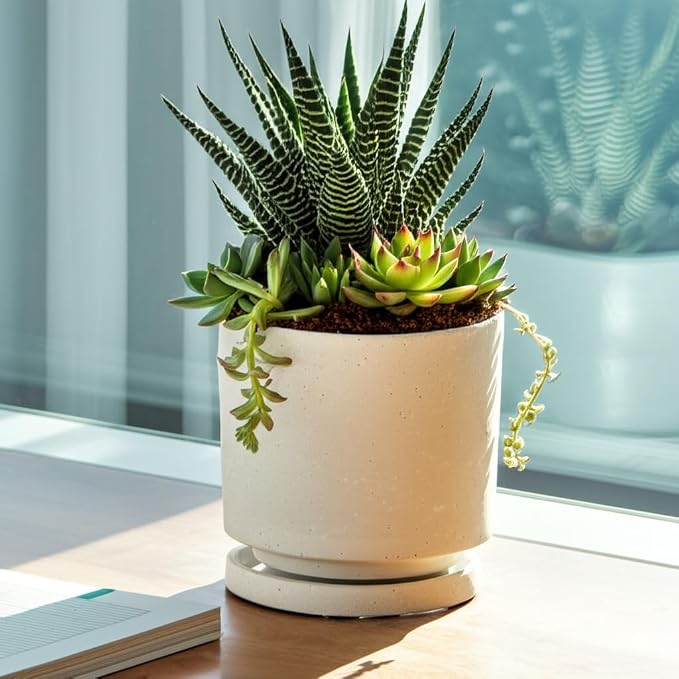 Nihow Ceramic Plant Pot Drainage Hole & Saucer for Indoor Plants, 5.7 Inch | White, Cylinder Planters, Art Modem Design, Home Garden Patio Office