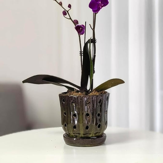 Orchid Pots 4.9 inch Ceramic Orchid Pots with Holes Set of 2 (mossgreen+White)