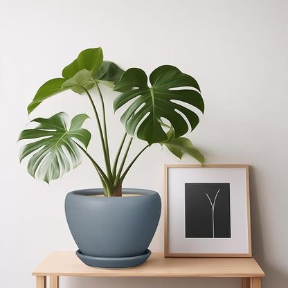 Ceramicfor Ceramic Pot for Plants - 6 Inch Plant Pot Indoor with Drainage Hole and Saucer Decorative Planter for Outdoor Plants Modern Succulent Pots Round Flower Pots Gray