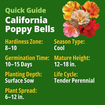 HOME GROWN California Poppy Mission Bells 2200 Seeds (2g) – Flower Seeds for Planting Outdoors, Vibrant Spring & Summer Blooms, Drought Tolerant Annual for Sunny Gardens (Eschscholzia californica)