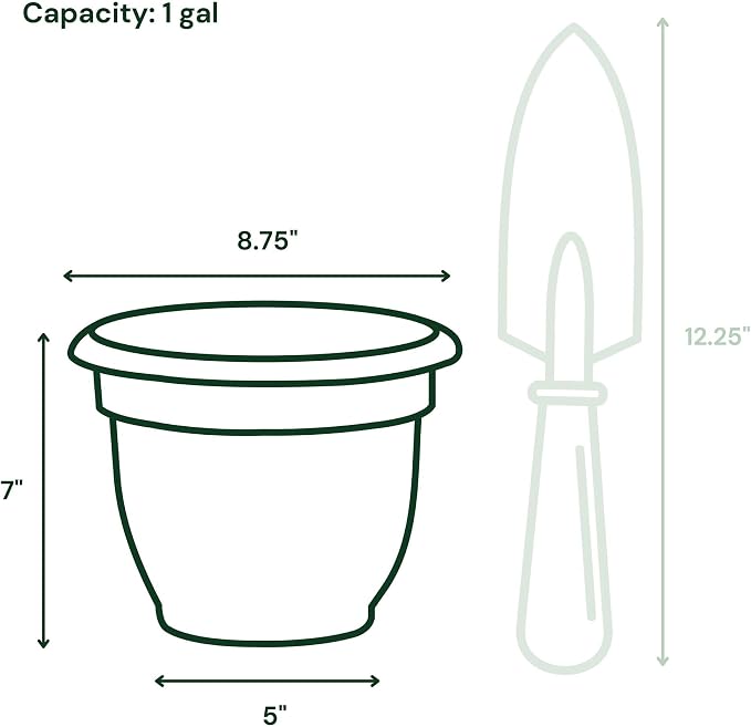 Bloem Ariana 8" Plastic Self-Watering Planter, Charleston Green, 4-Pack | Self-watering disk at the bottom of each pot that acts as a water wick and reservoir for optimal plant health