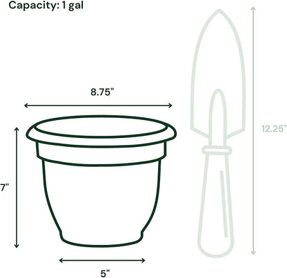 Bloem Ariana 8" Plastic Self-Watering Planter, Daffodil, 4-Pack | Self-watering disk at the bottom of each pot that acts as a water wick and reservoir for optimal plant health