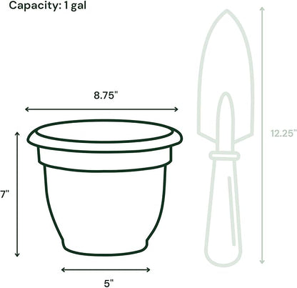 Bloem Ariana 8" Plastic Self-Watering Planter, Terra Cotta, 4-Pack | Self-watering disk at the bottom of each pot that acts as a water wick and reservoir for optimal plant health
