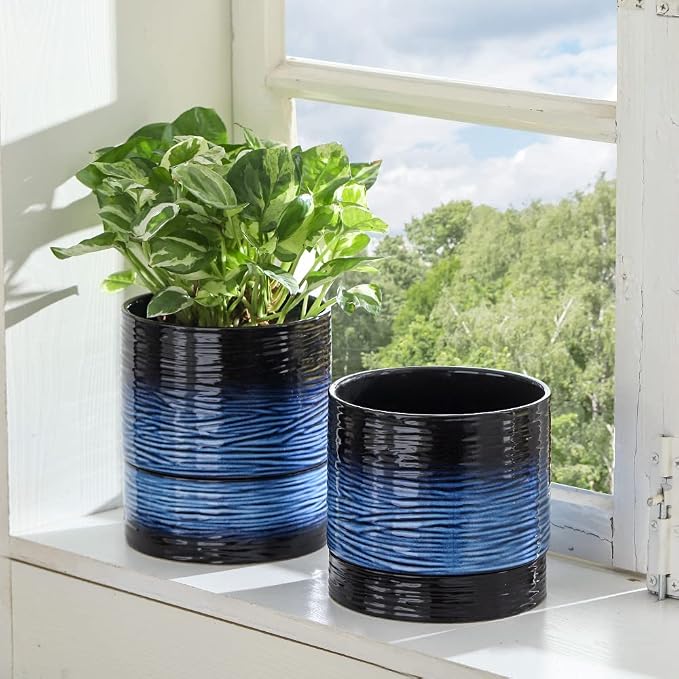 Nihow Ceramic Plant Pot,6 Inch Planter with Drainage Hole&Saucer for Indoor | Black & Vivid Blue,Indoor & Outdoor, Cylinder Round Flower Pot, For Succulent/Herbs/Violets
