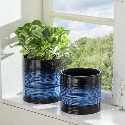 Nihow Ceramic Plant Pot,6 Inch Planter with Drainage Hole&Saucer for Indoor | Black & Vivid Blue,Indoor & Outdoor, Cylinder Round Flower Pot, For Succulent/Herbs/Violets