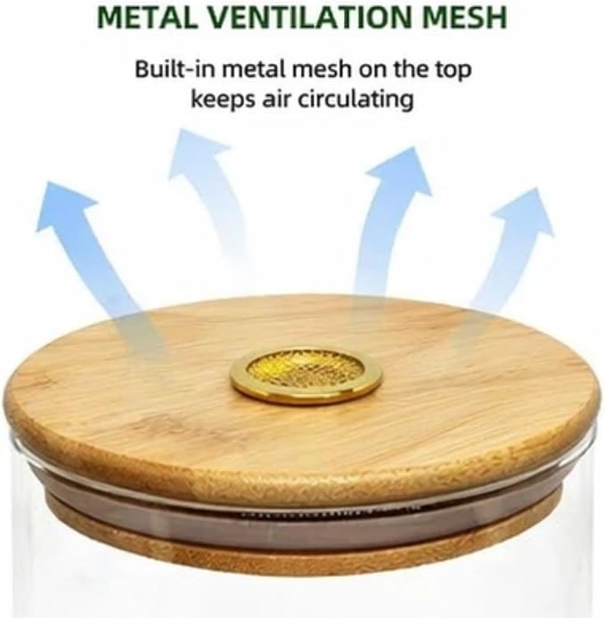 Science Education Worm Compost Experiment bin, Waste Decomposition into composting kit, ant Farming Plant