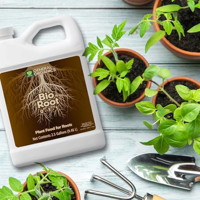 General Organics BioRoot 0-1-1 Root & Plant Food – Liquid Formula for Seedlings, Cuttings, Transplants & Container Gardens – Supports Strong Root Growth, 1 Quart