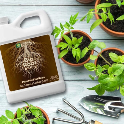 General Organics BioRoot 0-1-1 Root & Plant Food – Liquid Formula for Seedlings, Cuttings, Transplants & Container Gardens – Supports Strong Root Growth, 1 Quart