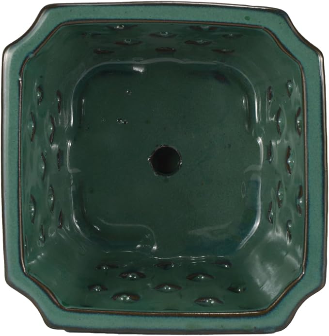 W&W Orchid Pot with Holes and Saucer for Repotting, Green, 7"