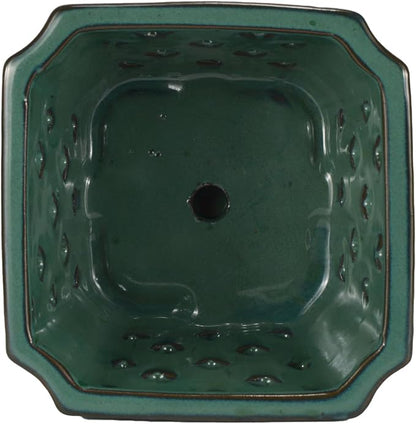 W&W Orchid Pot with Holes and Saucer for Repotting, Green, 7"