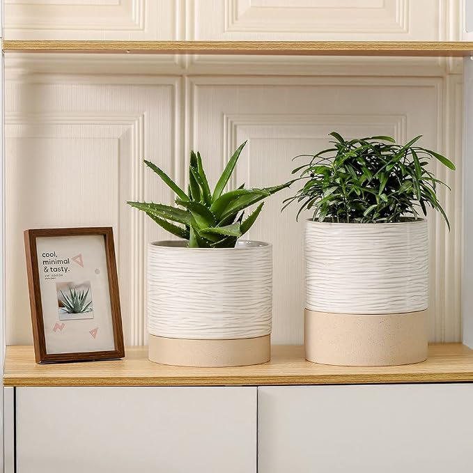 Nihow Ceramic Plant Pot,6 Inch Planter with Drainage Hole&Saucer for Indoor | Cream White & Brown,Indoor & Outdoor, Cylinder Round Flower Pot, For Succulent/Herbs/Violets